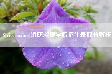 滨州消防救援学院招生录取分数线