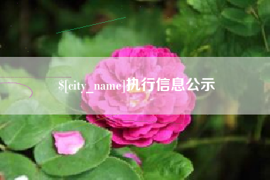 滨州执行信息公示