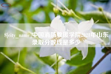 滨州中国消防救援学院2021年山东录取分数线是多少