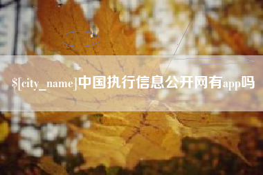 滨州中国执行信息公开网有app吗