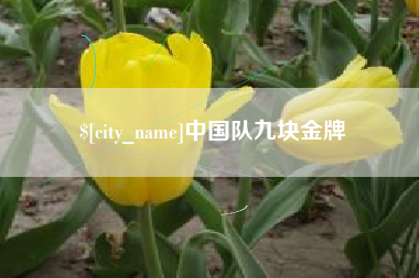 滨州中国队九块金牌