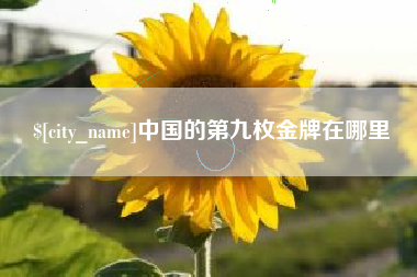滨州中国的第九枚金牌在哪里