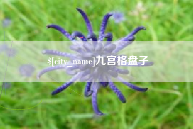 滨州九宫格盘子