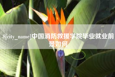 滨州中国消防救援学院毕业就业前景如何