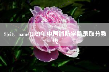 滨州2021年中国消防学院录取分数线