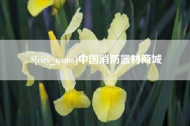 滨州中国消防器材商城