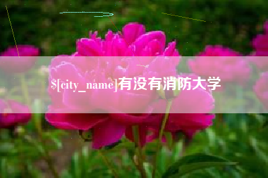 滨州有没有消防大学