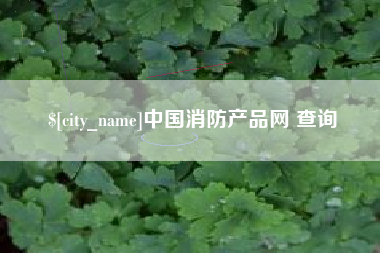 滨州中国消防产品网 查询