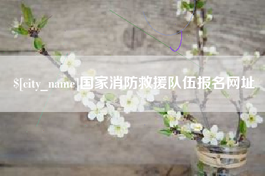 滨州国家消防救援队伍报名网址