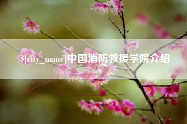 滨州中国消防救援学院介绍