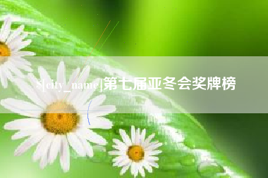 滨州第七届亚冬会奖牌榜