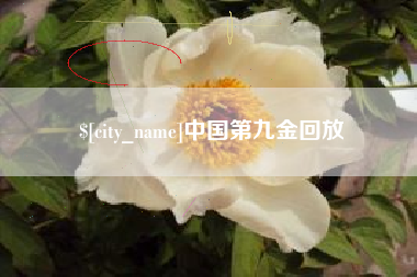 滨州中国第九金回放