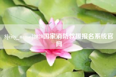 滨州2020国家消防救援报名系统官网