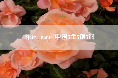 滨州中国3金3银3铜