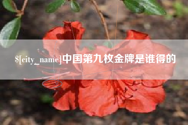 滨州中国第九枚金牌是谁得的