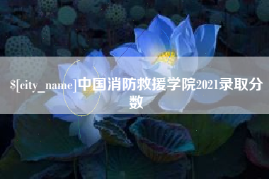 滨州中国消防救援学院2021录取分数