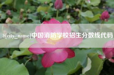滨州中国消防学校招生分数线代码
