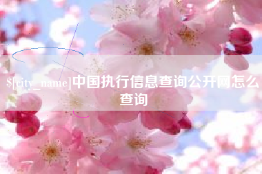 滨州中国执行信息查询公开网怎么查询