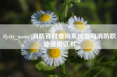 滨州消防官网查询系统查询消防职业资格证书