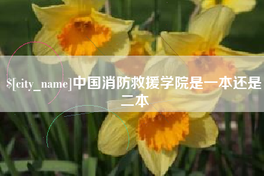滨州中国消防救援学院是一本还是二本