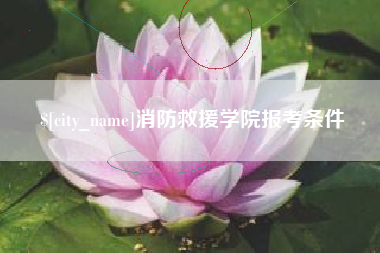 滨州消防救援学院报考条件