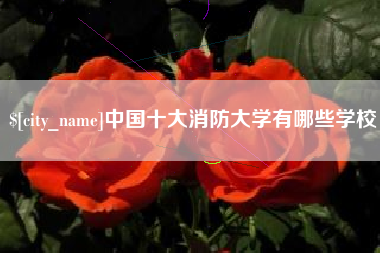 滨州中国十大消防大学有哪些学校