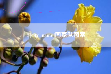 滨州国家队图案