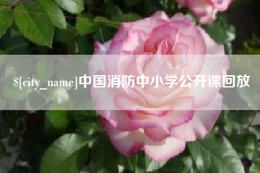 滨州中国消防中小学公开课回放