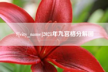 滨州2021年九宫格分解图
