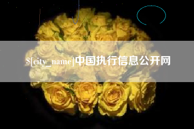 滨州中国执行信息公开网
