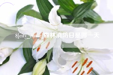 滨州森林消防日是哪一天