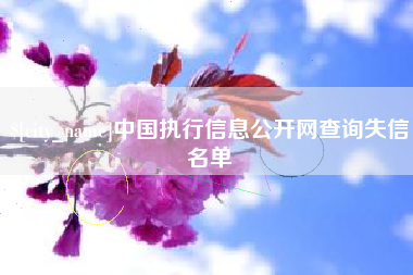 滨州中国执行信息公开网查询失信名单