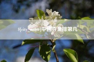 滨州中国夺金排第几
