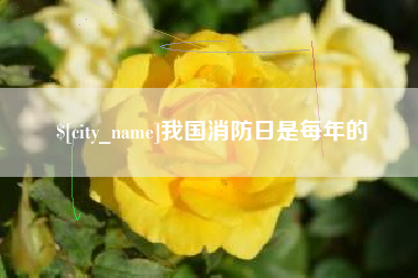滨州我国消防日是每年的
