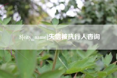滨州失信被执行人杳询