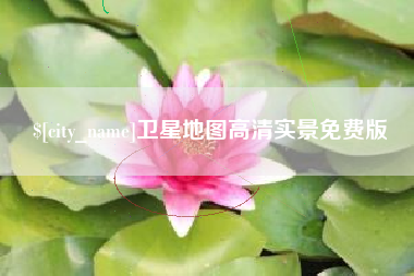 滨州卫星地图高清实景免费版