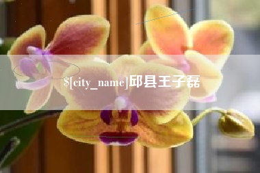 滨州邱县王子磊