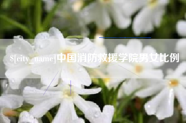 滨州中国消防救援学院男女比例