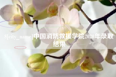 滨州中国消防救援学院2020年录取结果
