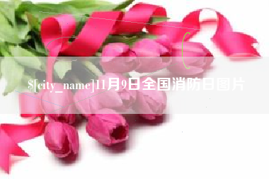 滨州11月9日全国消防日图片