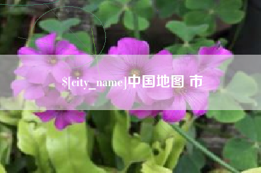 滨州中国地图 市