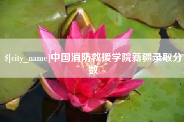 滨州中国消防救援学院新疆录取分数