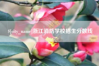 滨州浙江消防学校招生分数线