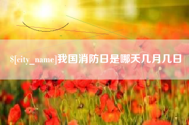 滨州我国消防日是哪天几月几日