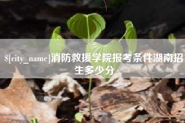 滨州消防救援学院报考条件湖南招生多少分