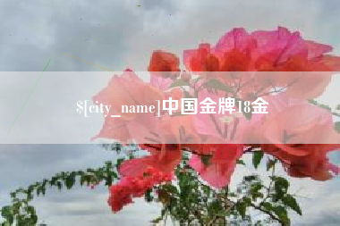 滨州中国金牌18金