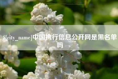 滨州中国执行信息公开网是黑名单吗