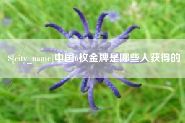 滨州中国6枚金牌是哪些人获得的
