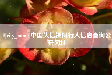 滨州中国失信被执行人信息查询公开网址