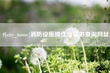 滨州消防设施操作员证书查询网址